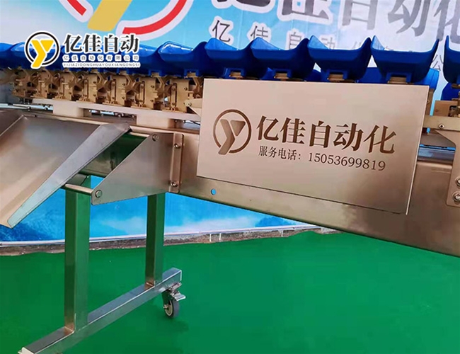 自动称重分选机